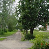 Тротуар на ул. Советской, Лебедянь