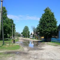 Деревня Паулкино, Дубовский