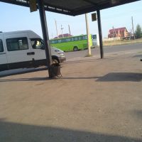 Platform bus station Kozmodemyansk, Козьмодемьянск