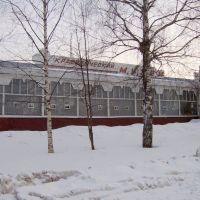 Краеведческий музей, Медведево