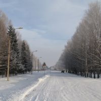 Оршанка зимой, Оршанка