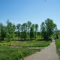живописная аллея в большеберезниковском парке, Большие Березники