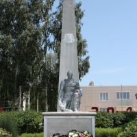 Памятник погибшим воинам, Ельники