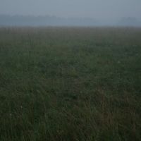 Foggy field, Барыбино