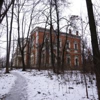 Дворец Воронцовых-Дашковых, Быково