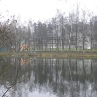 Малинковский пруд, Быково