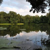Озеро в парке, Быково