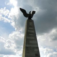 Памятник французам. На нем надпись: "Мертвым великой армии", Валуево