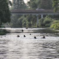 Evening Swimming, River Dubna, Вербилки