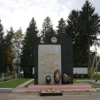 Памятник павшим воинам, Вербилки