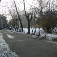 Мой двор зимой, Видное