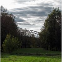 Мост над деревьями, Воскресенск