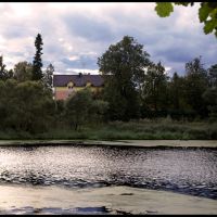 river with duckweed, Голицино