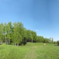 Wood, Panorama (180°), Домодедово