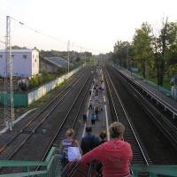 Платформа ж/д станции "Дорохово", Дорохово