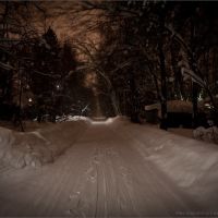 Ночная и зимняя дорога, Дубки
