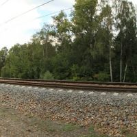 Railway Odintsovo - Golitsino, Дубки