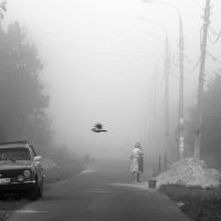 Синица в тумане, Жилево