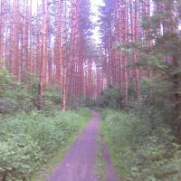 Road, Загорянский