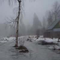 туман в Загорянке, Загорянский