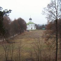 Assumption Cathedral, view from a distant wall of the ancient Zvenigorod settlement, Звенигород