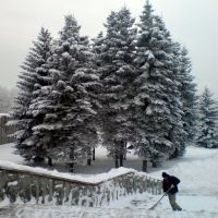 Снегопад, Зеленоград