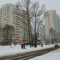 Новые дома на улице летчика Полагушина, Зеленоград