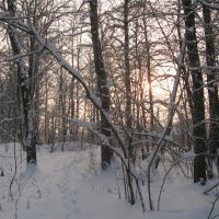 Зимнее Солнце (Winter Sun), Икша