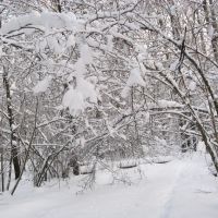 Снежные кружева (Snow laces), Икша