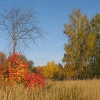 Краски осени (Рaints of autumn), Икша