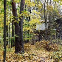 Countryside house. Golden autumn, Ильинский
