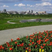 Митинский парк, Калининград
