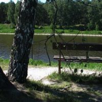 Скамейка под деревом на берегу канала, Клязьма