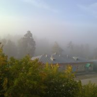 Туман, Кожино