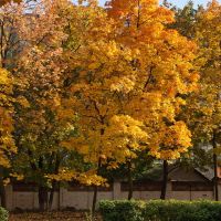 Autumn colors, Красково