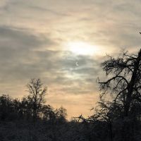 Солнечное затмение над парком усадьбы Красково, Красково
