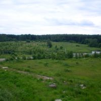 Forest, Краснозаводск