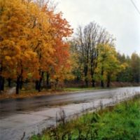 Золотая осень. Дождь, Купавна