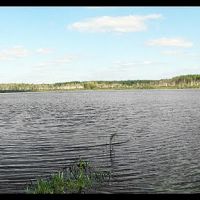 озеро - Лужное, Куровское