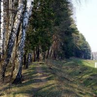 Перегон Лесной Городок - Толстопальцево, Лесной Городок
