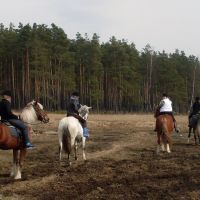 катание на лошадях, Ликино-Дулево