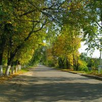 Осень на Колхозной улице / The autumn on the Kolkhoznaya  street, Лыткарино