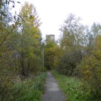 Тротуар в лесу, Львовский