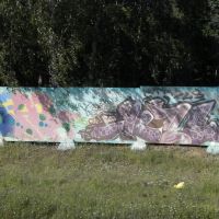 Граффити вдоль дороги.НАЧАЛО..., Малаховка