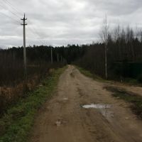 Дорога на выезде из садовых товариществ_2, Михайловское