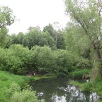 река Каширка, Михнево