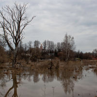 весенний разлив, Михнево