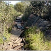 Мостки через болото, Нахабино