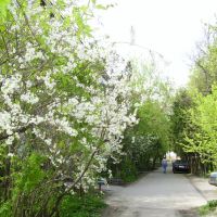Весна, Немчиновка