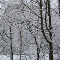 Зима, Немчиновка